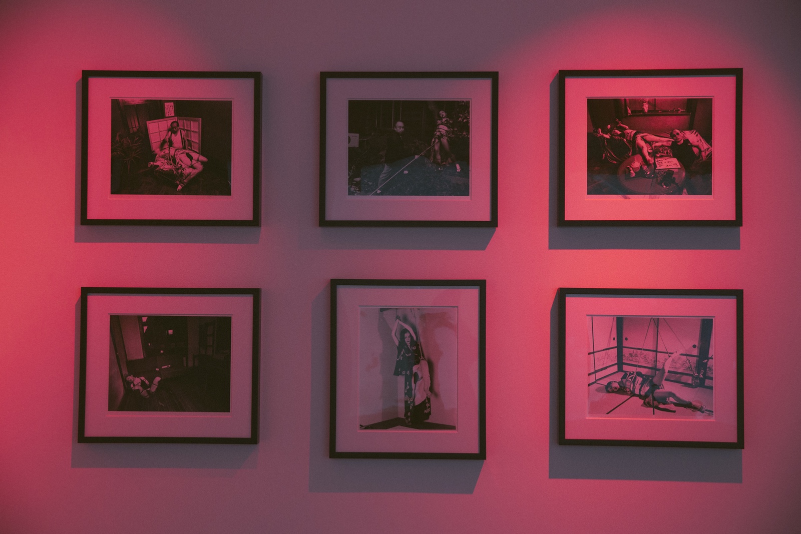 走進荒木經(jīng)惟，香港歷來最大型的攝影作品展-鋒巢網(wǎng)