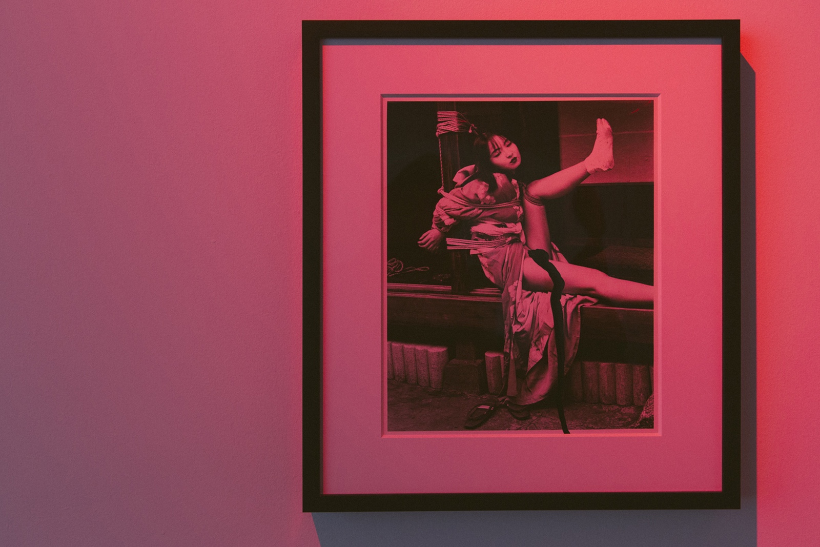 走進荒木經(jīng)惟，香港歷來最大型的攝影作品展-鋒巢網(wǎng)