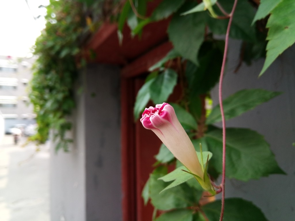 5000mAh大容量電池+雙鏡頭設計 華碩電神4評測-鋒巢網(wǎng)