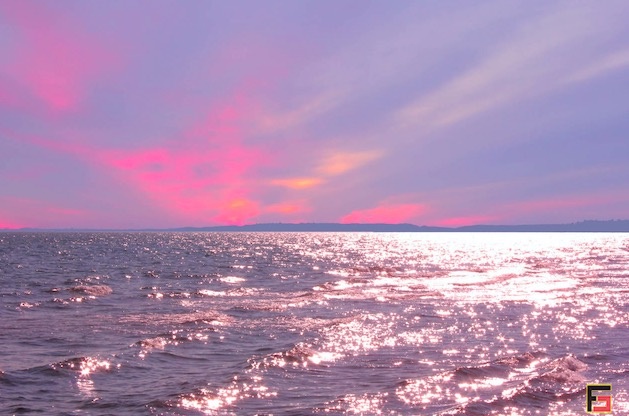 烽巢網(wǎng)辣評(píng)：2017年度最具科技價(jià)值『自媒體』榜單-鋒巢網(wǎng)