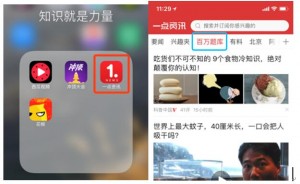 最全答題神器評測，如何優(yōu)雅穩(wěn)妥的瓜分百萬現(xiàn)金呢？-鋒巢網(wǎng)