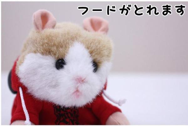 9.9元包郵 這賣的是貨還是工業(yè)垃圾？-鋒巢網(wǎng)