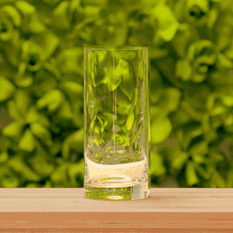 這次減肥，我們做了一項(xiàng)決定-鋒巢網(wǎng)