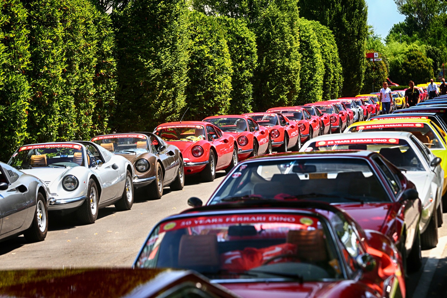 慶祝 Dino 亮相 50 周年，場(chǎng)面極為震撼！-鋒巢網(wǎng)