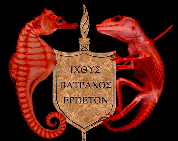 這群長相地域的生物 出自科學(xué)家之手-鋒巢網(wǎng)