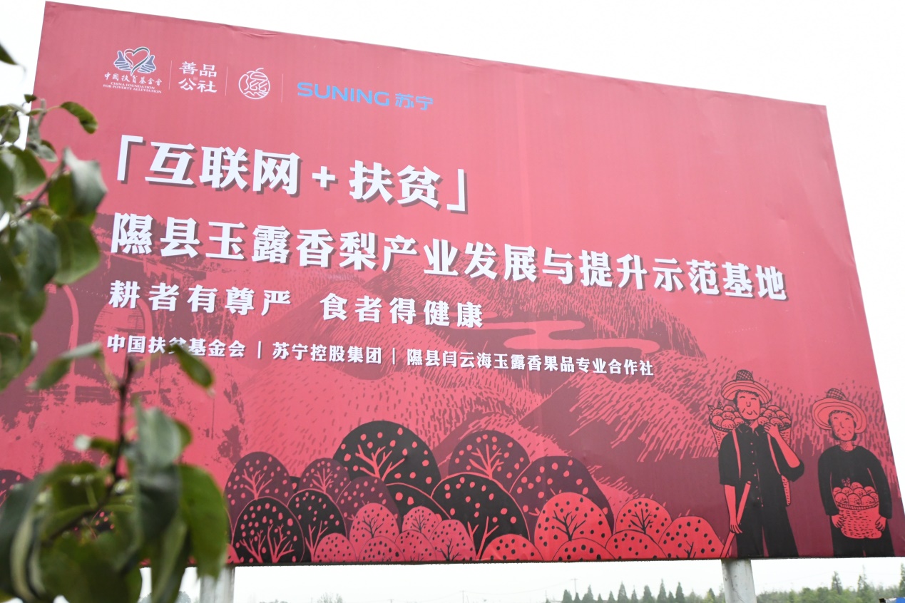 聚焦鄉(xiāng)村振興、聚力精準(zhǔn)扶貧：蘇寧“一二三四五”戰(zhàn)略構(gòu)建鄉(xiāng)村振興新模式-鋒巢網(wǎng)