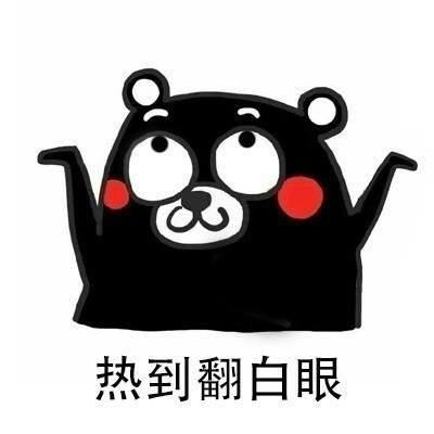 藏龍臥虎！迅雷鏈沙龍現(xiàn)場驚現(xiàn)眾多技術(shù)很牛的小姐姐-鋒巢網(wǎng)