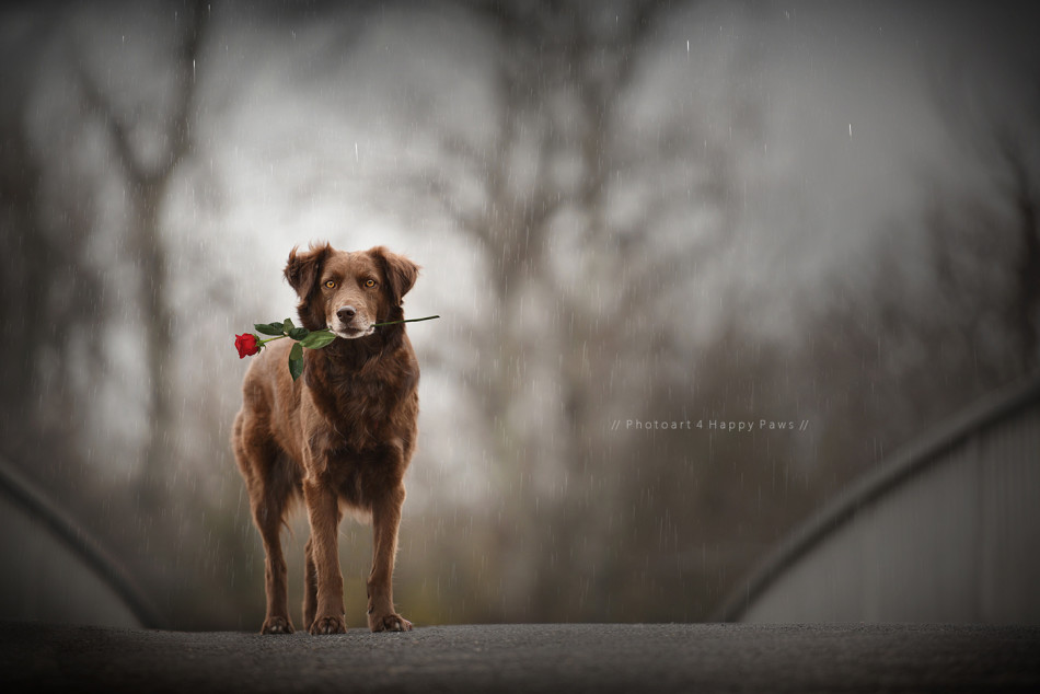 現(xiàn)在的年輕人，連戀愛都不想談了-鋒巢網(wǎng)