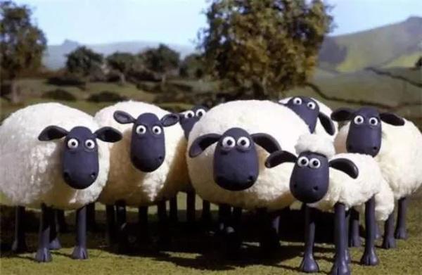 與“羊毛黨”的戰(zhàn)爭(zhēng)-鋒巢網(wǎng)