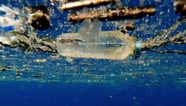 塑料垃圾流浪記-鋒巢網(wǎng)