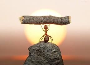 今天你成功了嗎？-鋒巢網(wǎng)