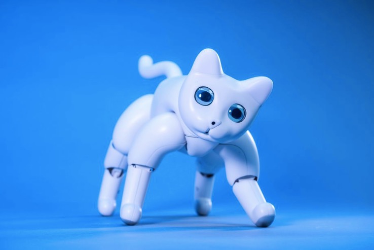 你可以在Kickstarter上找到一只機器貓-鋒巢網(wǎng)