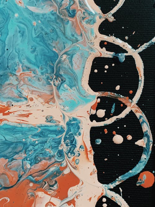 雙羅CP：一個(gè)賣情懷，一個(gè)賣焦慮-鋒巢網(wǎng)