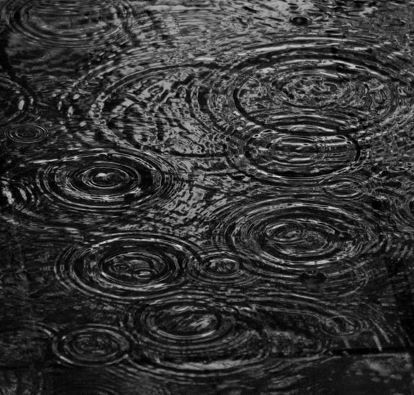 iPhone12開了個(gè)很壞的頭-鋒巢網(wǎng)