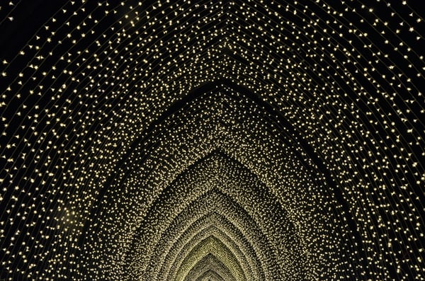 抖音“上”春晚-鋒巢網(wǎng)