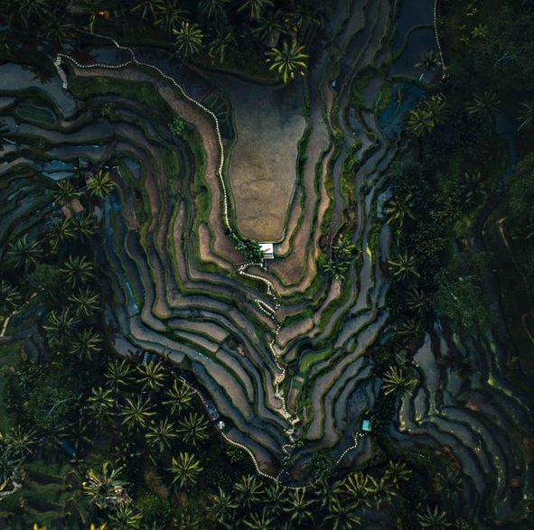 誰靠茅臺賺了100億？-鋒巢網(wǎng)