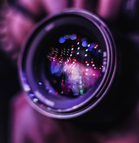 辛巴急了-鋒巢網(wǎng)