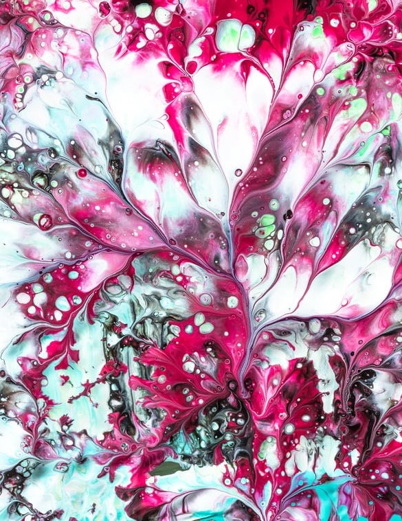 “火豹“的女子電競正當紅-鋒巢網(wǎng)