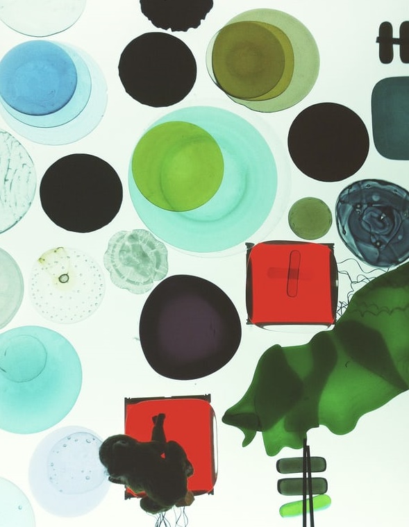 在線教育，“剩”者為王-鋒巢網(wǎng)