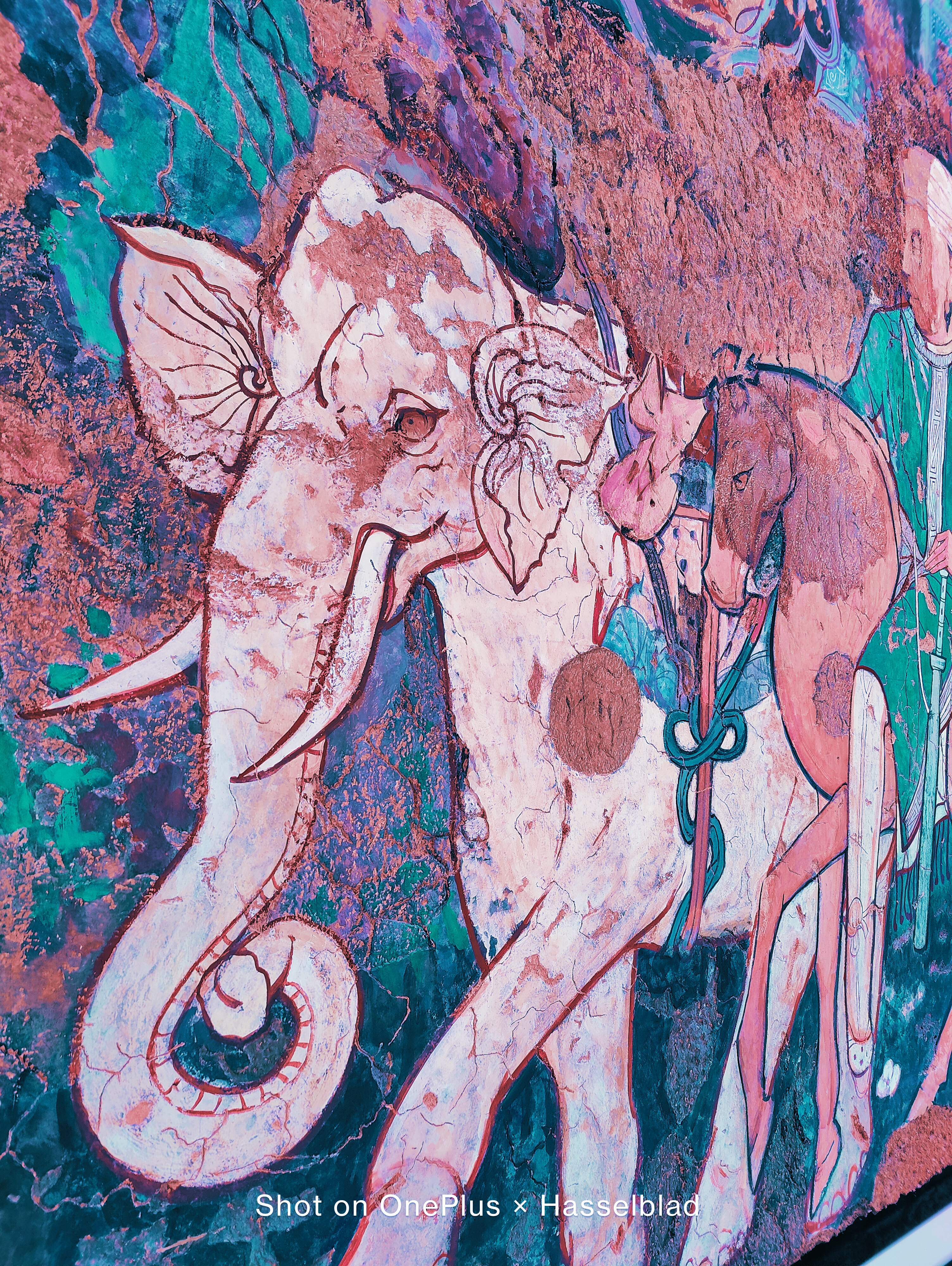 一加9 Pro超廣角體驗(yàn)：超頂?shù)挠跋裼矊?shí)力-鋒巢網(wǎng)