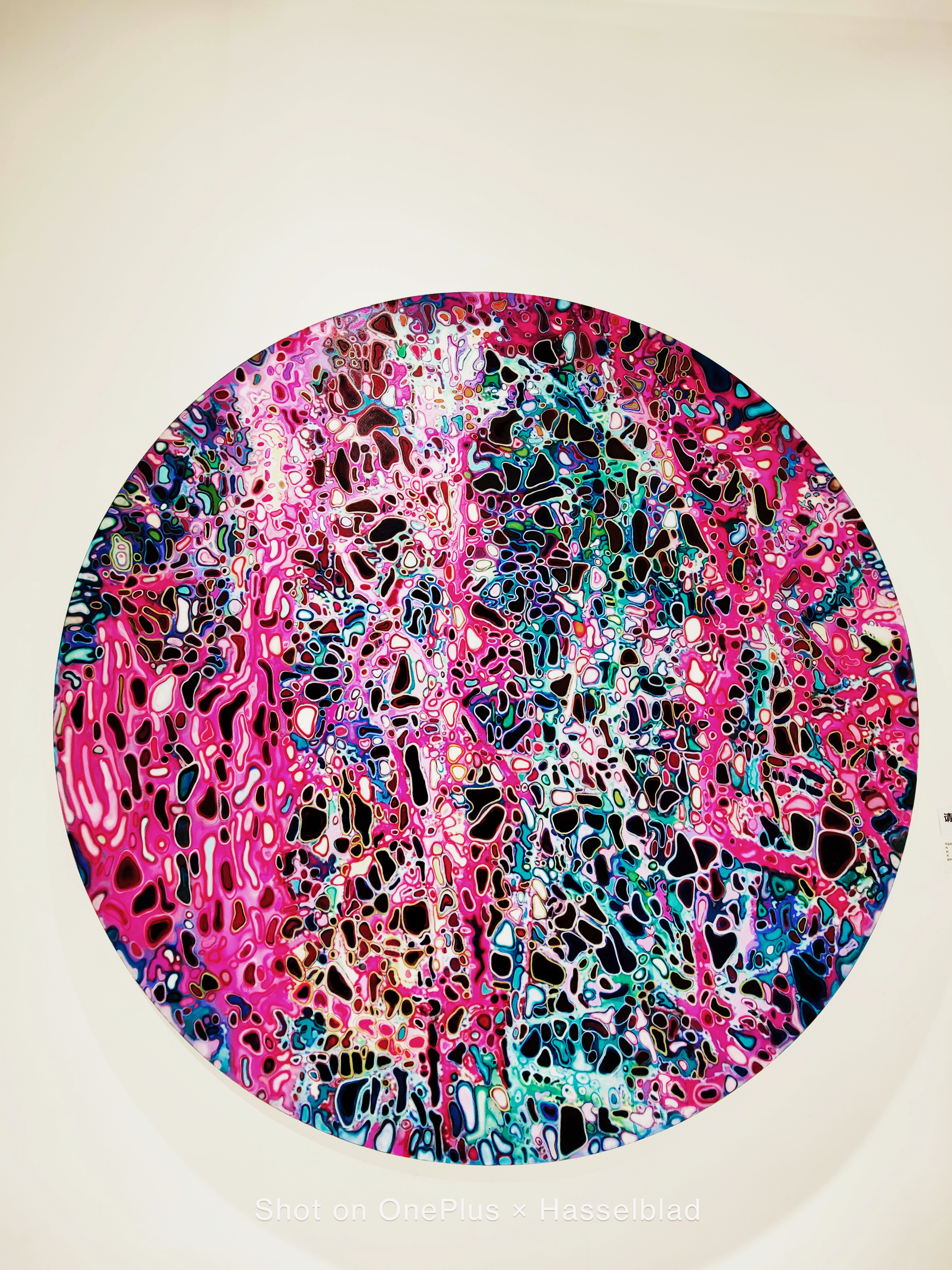 一加9 Pro超廣角體驗(yàn)：超頂?shù)挠跋裼矊?shí)力-鋒巢網(wǎng)