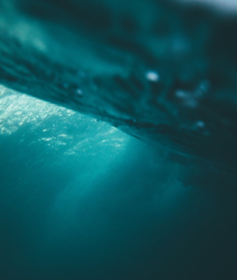 人到中年，淪陷直播間-鋒巢網(wǎng)