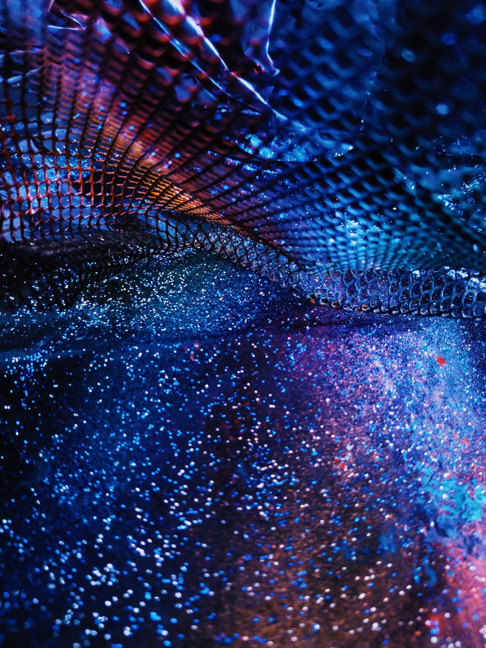 “慢半拍”泡泡瑪特-鋒巢網(wǎng)