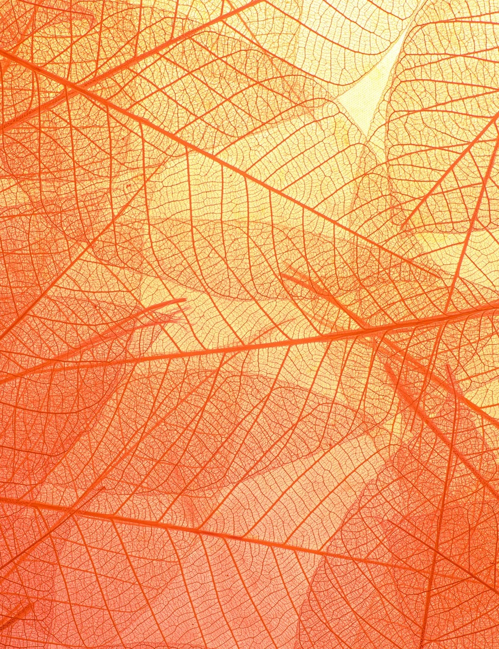 美團(tuán)冤嗎？-鋒巢網(wǎng)