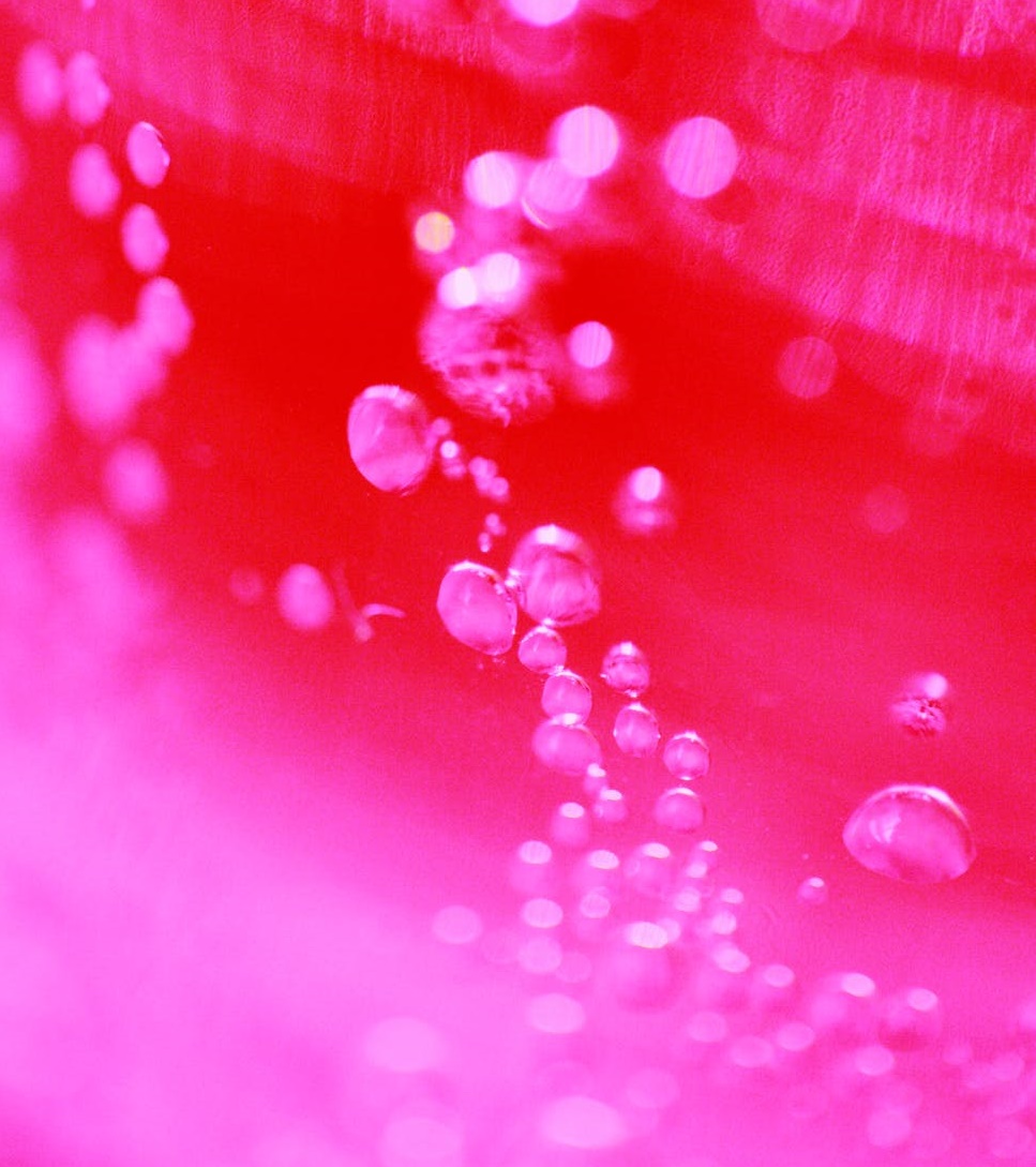 一場(chǎng)緋聞引發(fā)的“血案”-鋒巢網(wǎng)