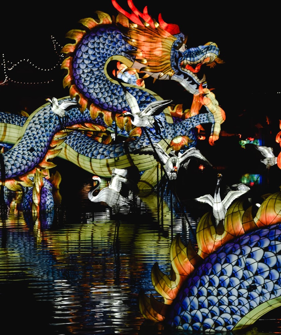 中國式雞娃-鋒巢網(wǎng)