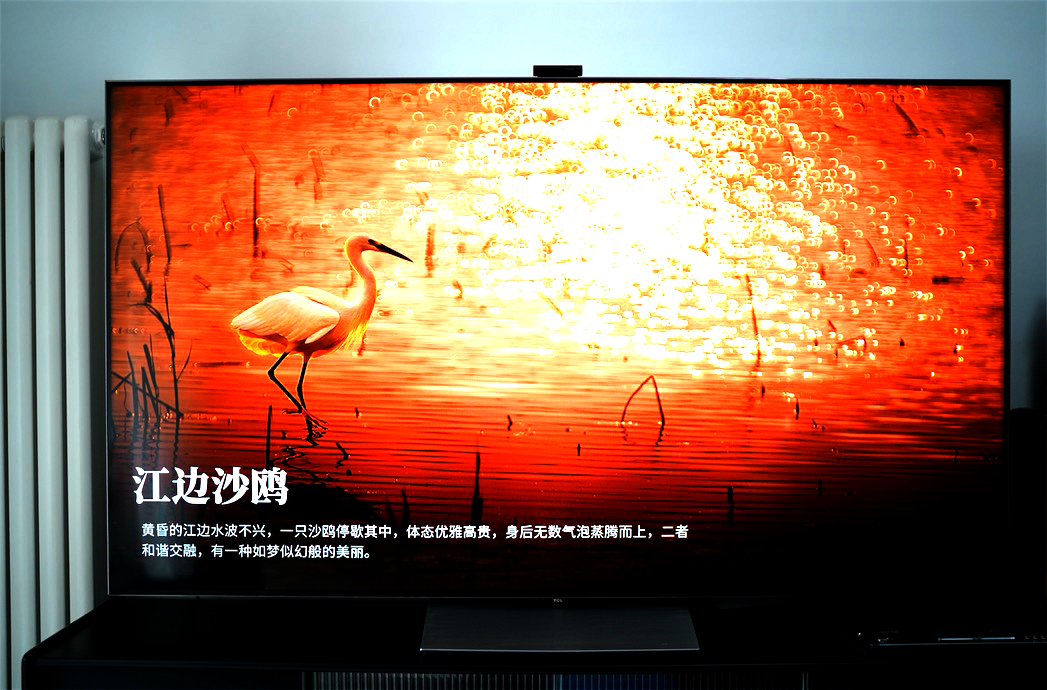 畫質(zhì)獵殺：體驗TCL Mini LED智屏絢麗時刻-鋒巢網(wǎng)