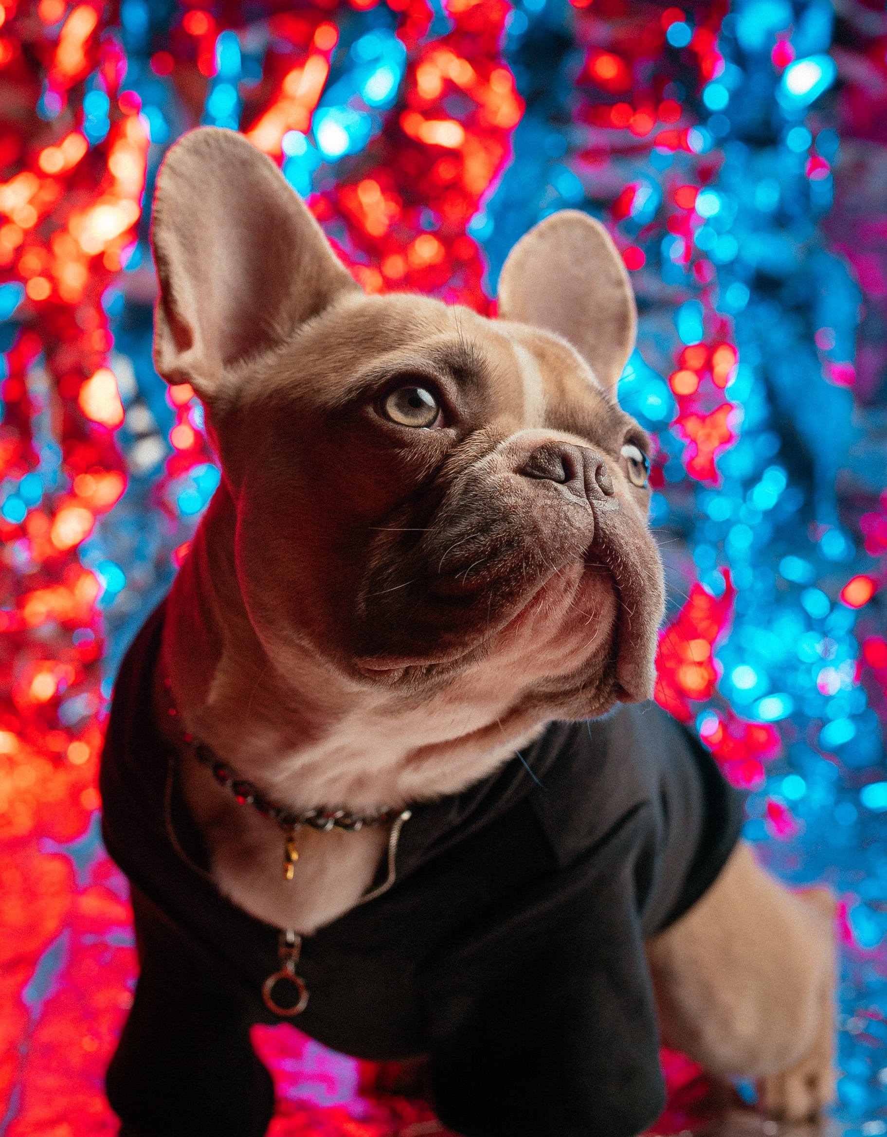 山寨AirPods有多“橫”？-鋒巢網(wǎng)