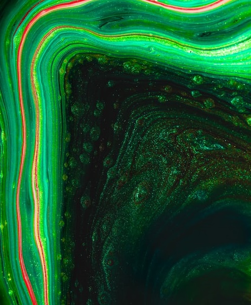 小米VS榮耀，“高端”對決-鋒巢網(wǎng)