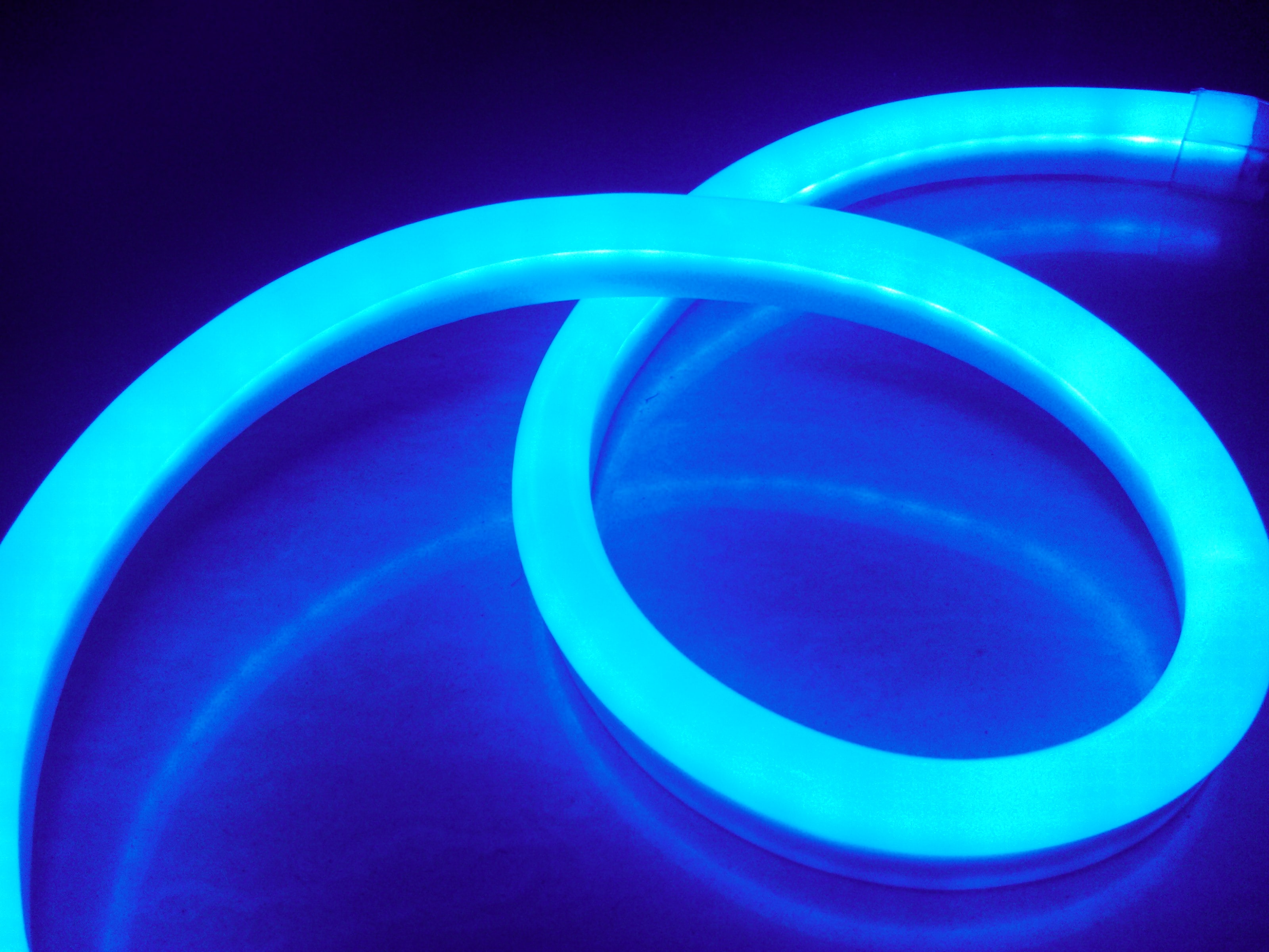 天下苦“稅”久矣：美韓狙擊“谷歌稅”“蘋(píng)果稅”-鋒巢網(wǎng)